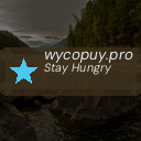 wycopuy.pro